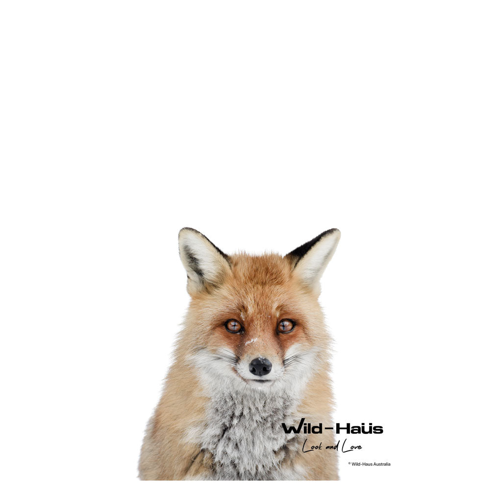 RED FOX I