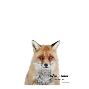 RED FOX I