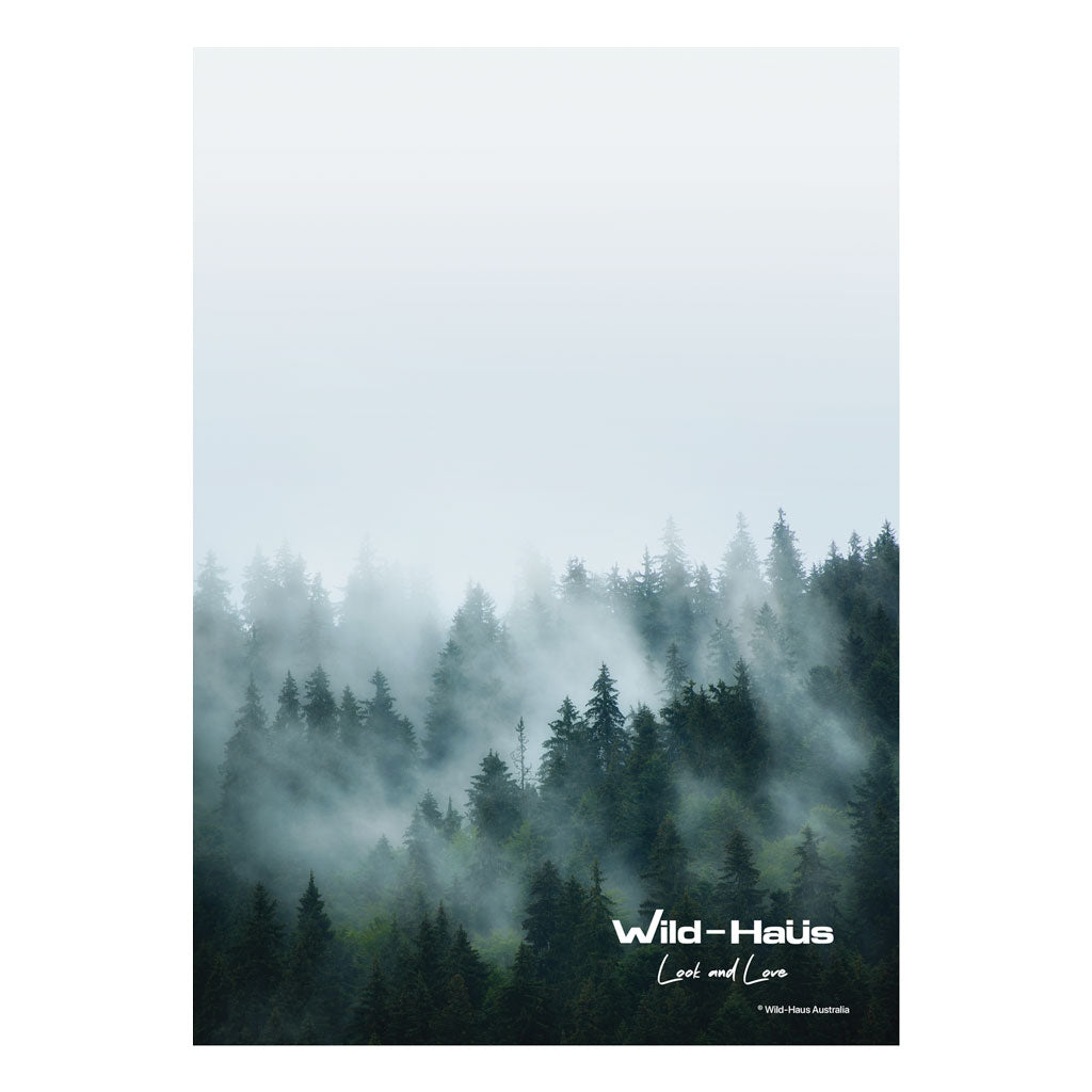 MISTY MOUNTAINS III