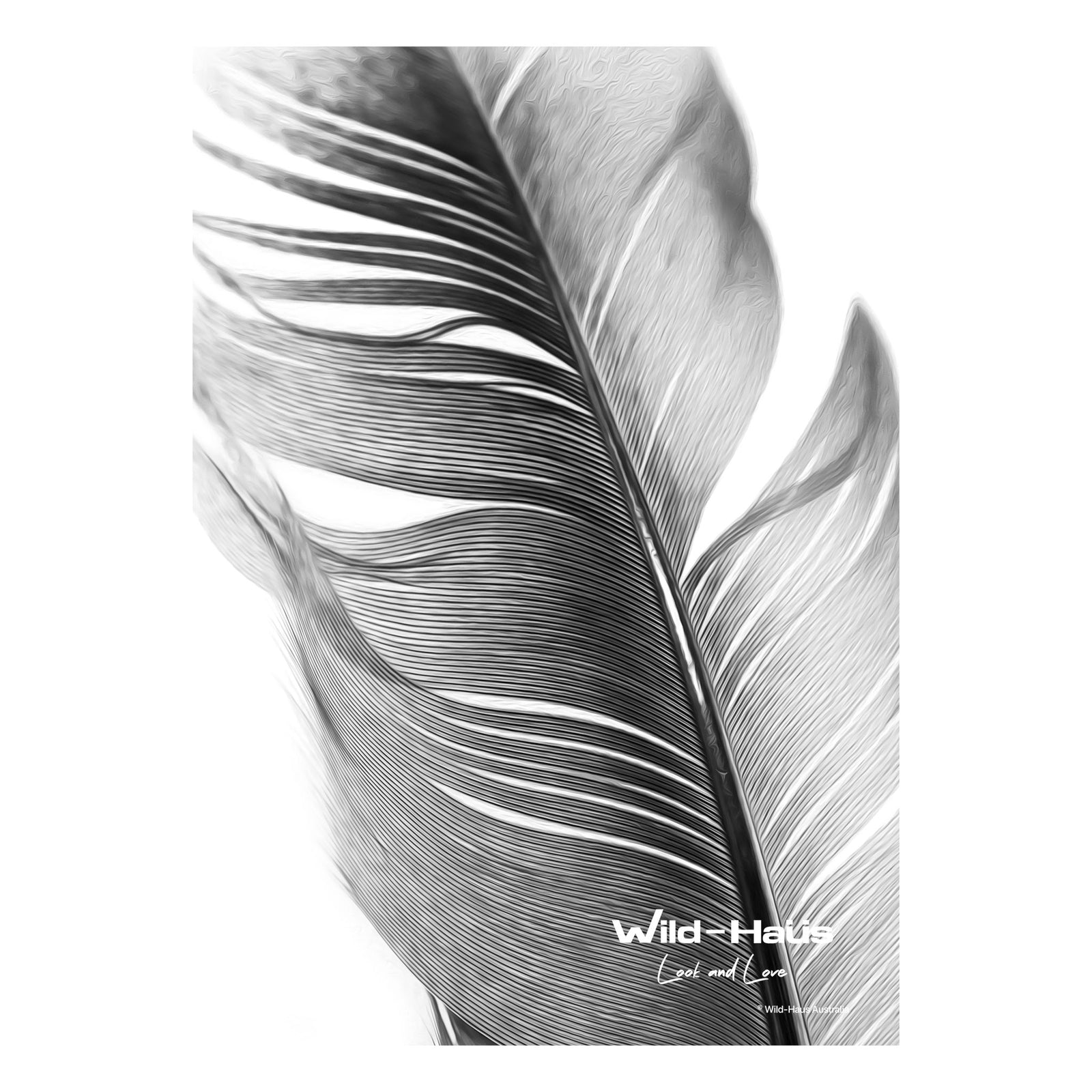 FEATHER I