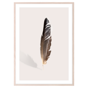 FEATHER II