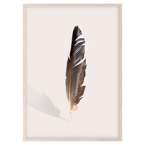 FEATHER II