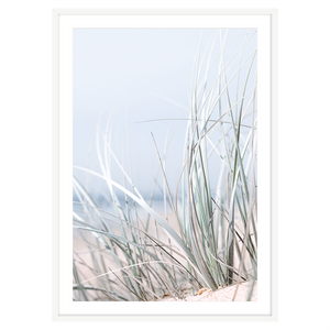 DUNE GRASS II