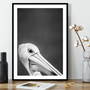 PELICAN PORTRAIT