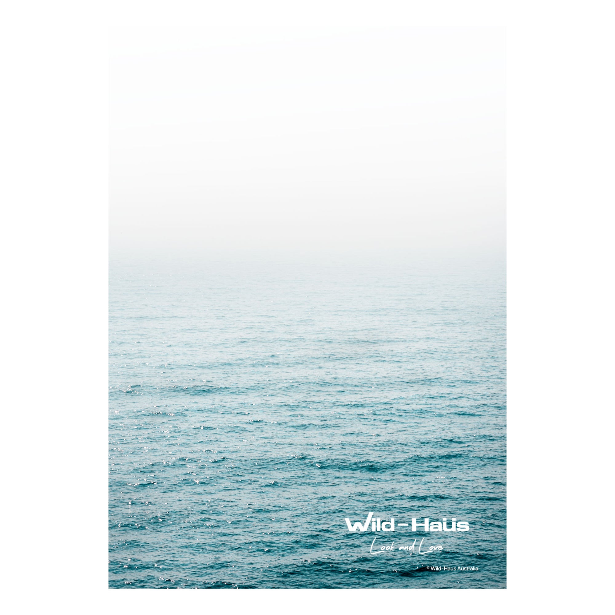 PACIFIC HORIZON