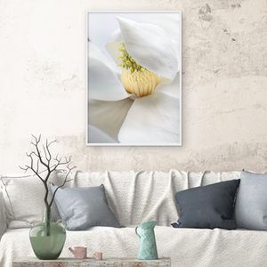 WHITE MAGNOLIA