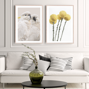 YELLOW POM POM