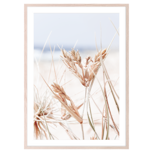 DUNE GRASS TUSK II