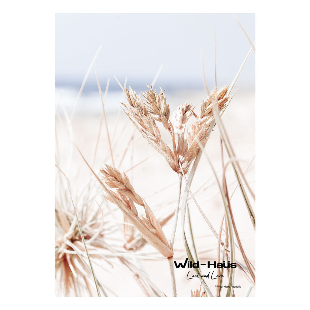 DUNE GRASS TUSK II