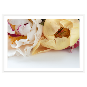 PEONIES