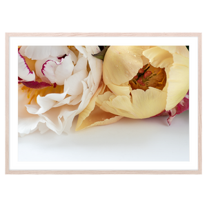 PEONIES