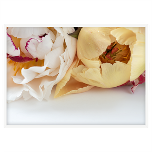 PEONIES