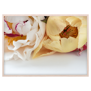 PEONIES
