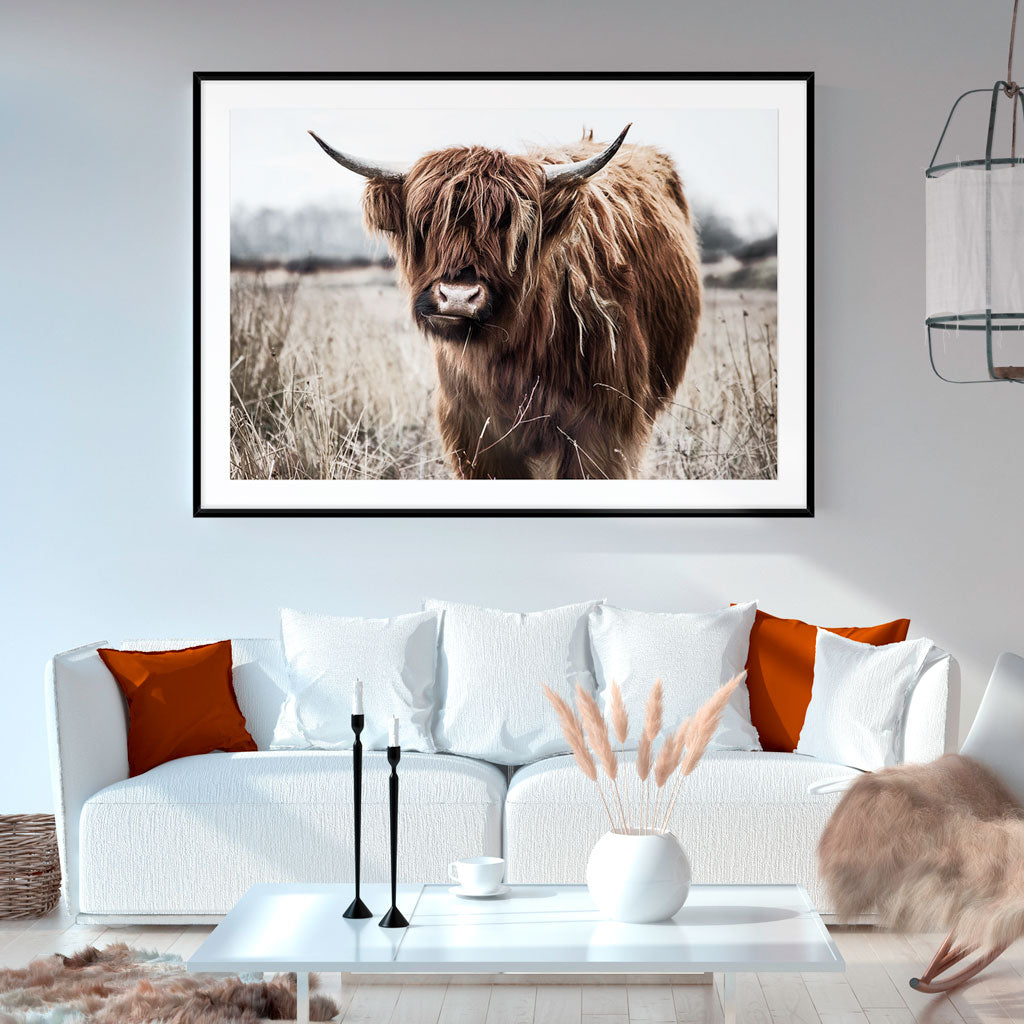 HIGHLAND COW I