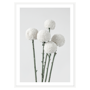 WHITE POM POMS I