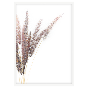 FOXTAIL II