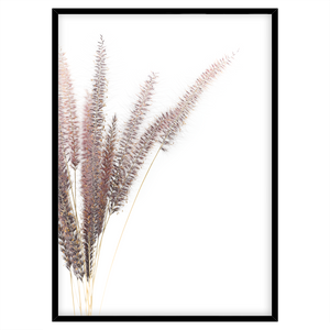 FOXTAIL II