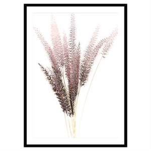 FOXTAIL I