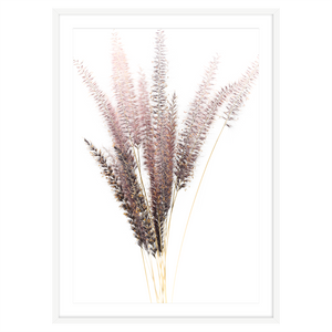 FOXTAIL I