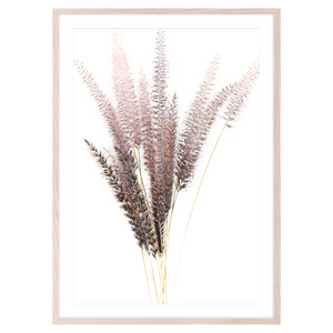 FOXTAIL I