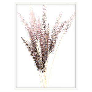 FOXTAIL I