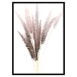 FOXTAIL I