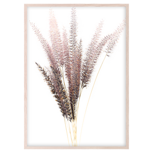 FOXTAIL I