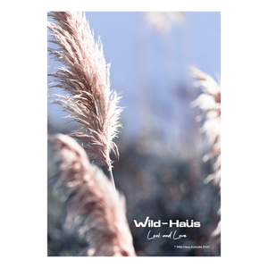 PAMPAS GRASS II