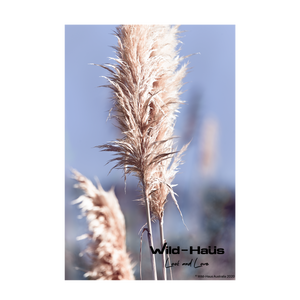 PAMPAS GRASS I