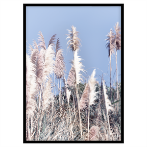 PAMPAS BY THE SEA