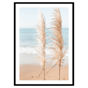 BEACH PAMPAS III