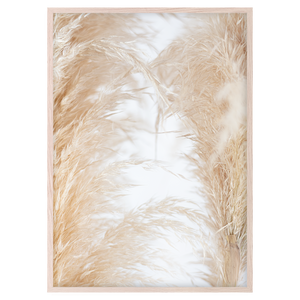 NATURAL PAMPAS II