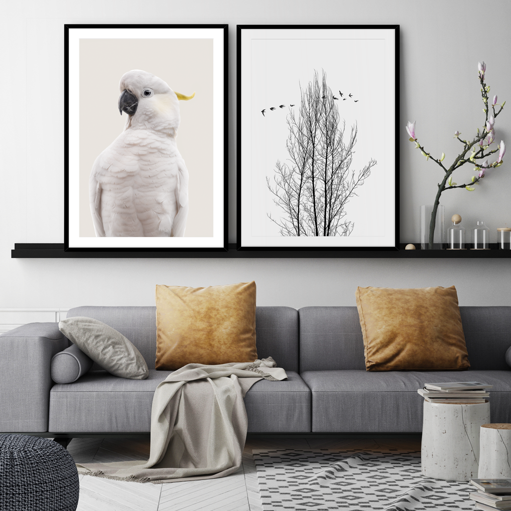 WHITE COCKATOO