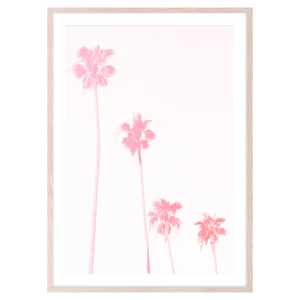 PINK PALMS