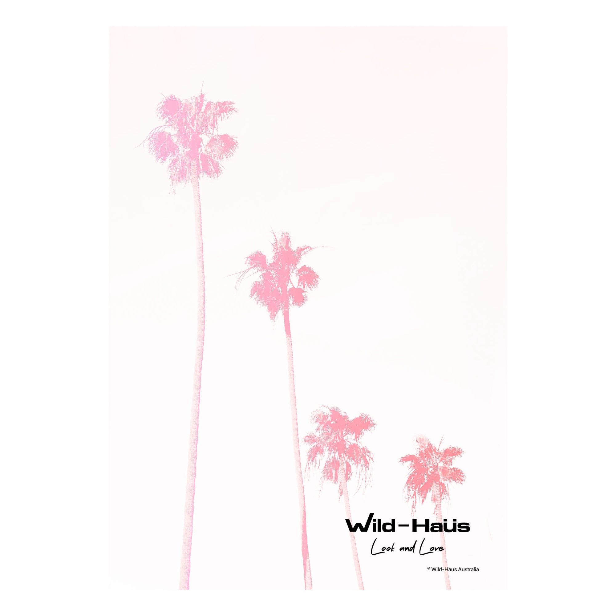 PINK PALMS