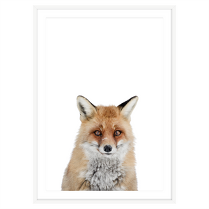 RED FOX I