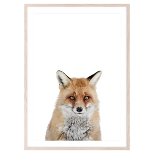 RED FOX I