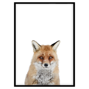 RED FOX I