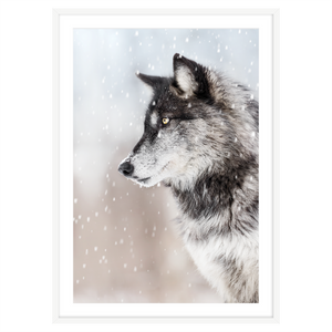 SNOW WOLF I