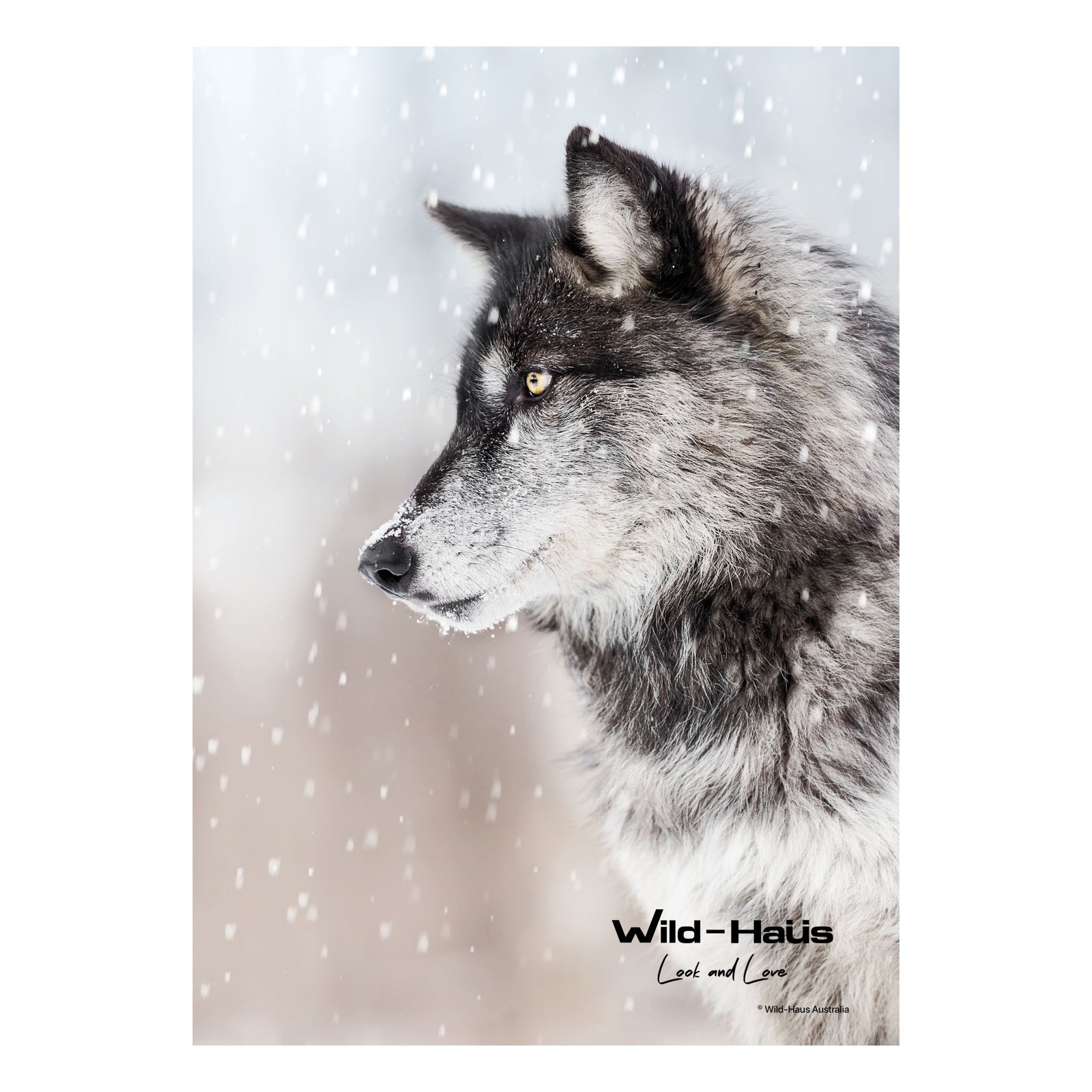 SNOW WOLF I