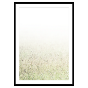 MISTY GRASS