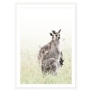 MISTY ROOS