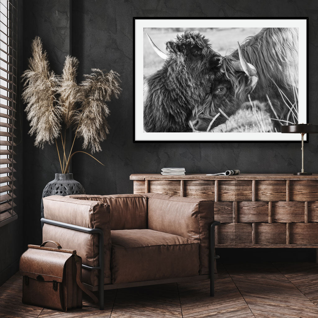 HIGHLAND CUDDLES [H]