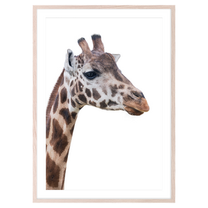 GIRRAFE I