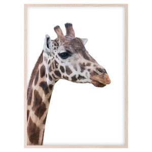 GIRRAFE I