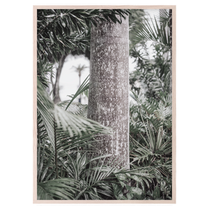PALM TROPIC I
