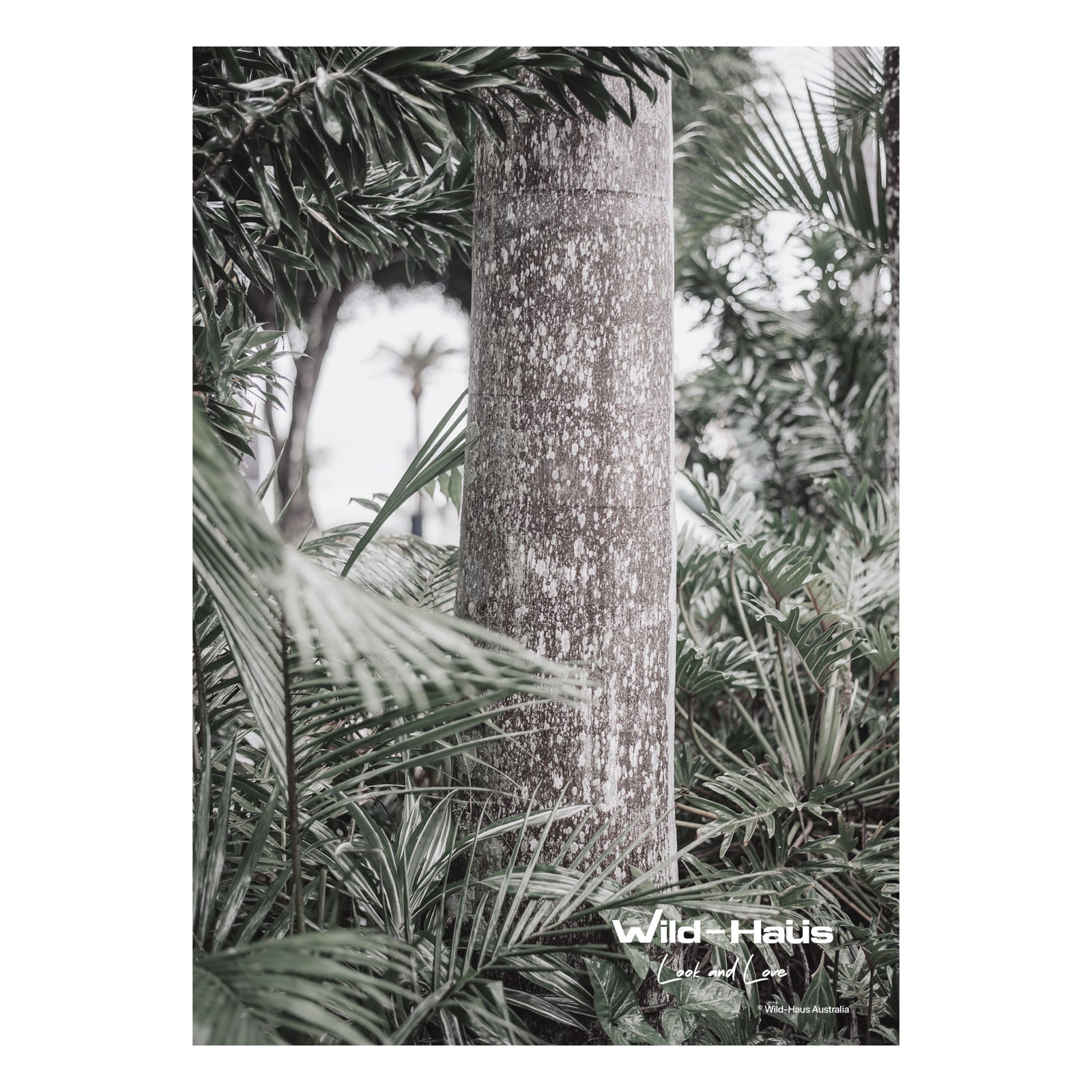 PALM TROPIC I