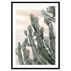 DESERT CACTUS