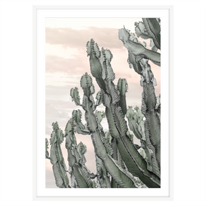 DESERT CACTUS