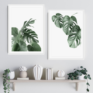 MONSTERA I